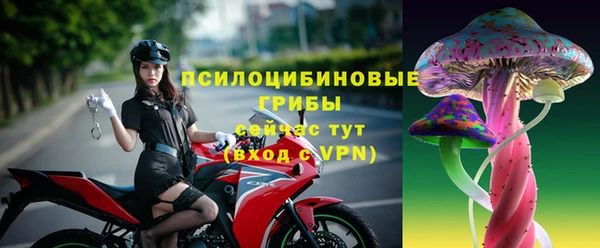 PSILOCYBIN Армянск